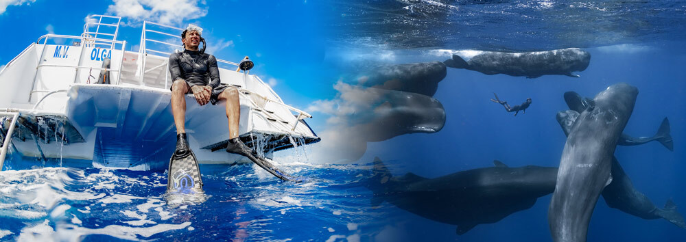 Patrick and the whale