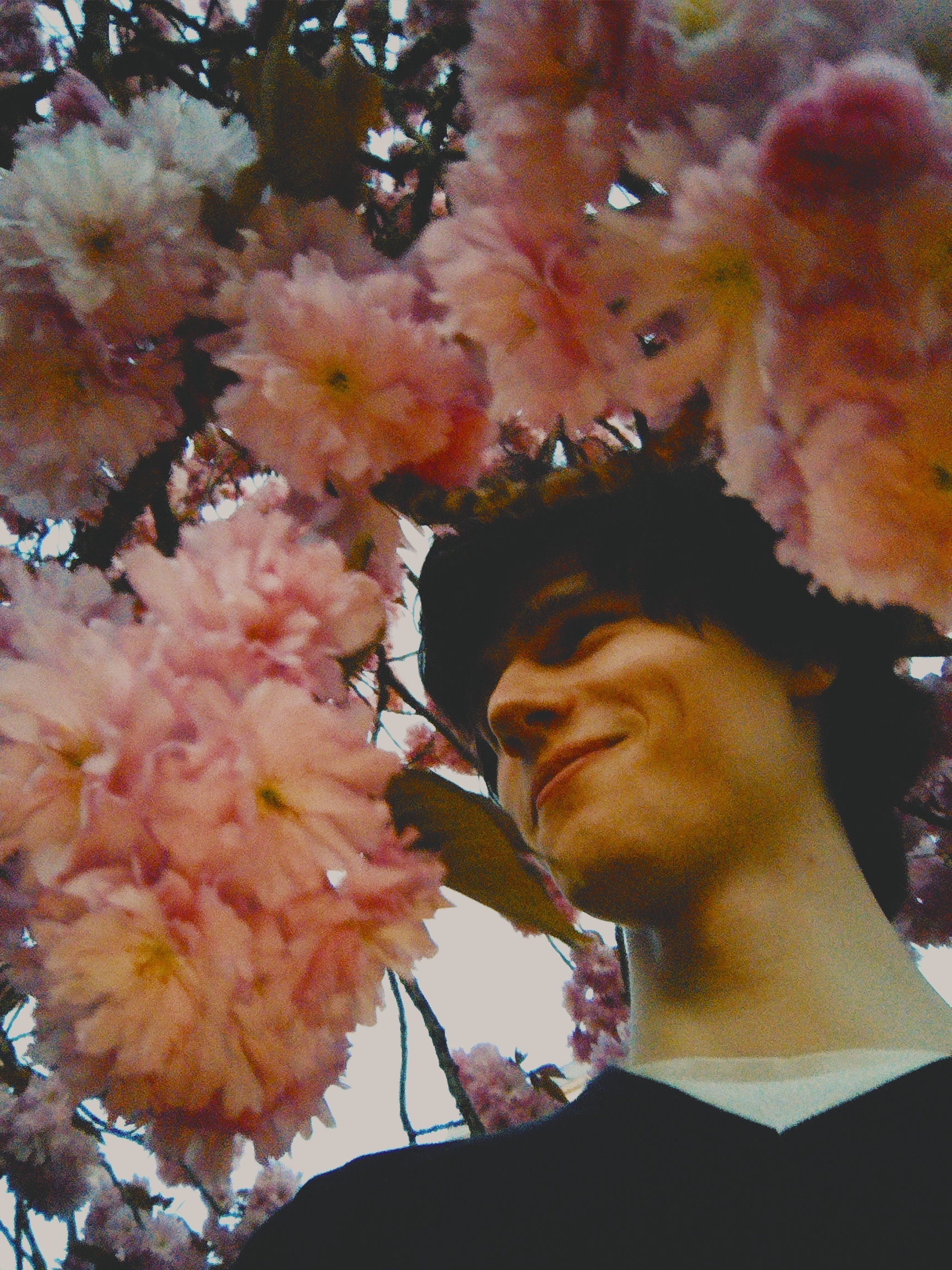 Koen de Vries april 2025